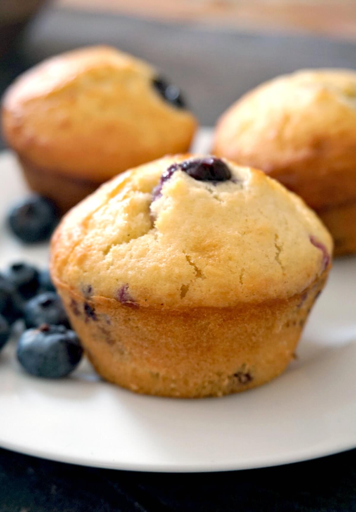 A muffin with 2 others in the background and blueberries around.