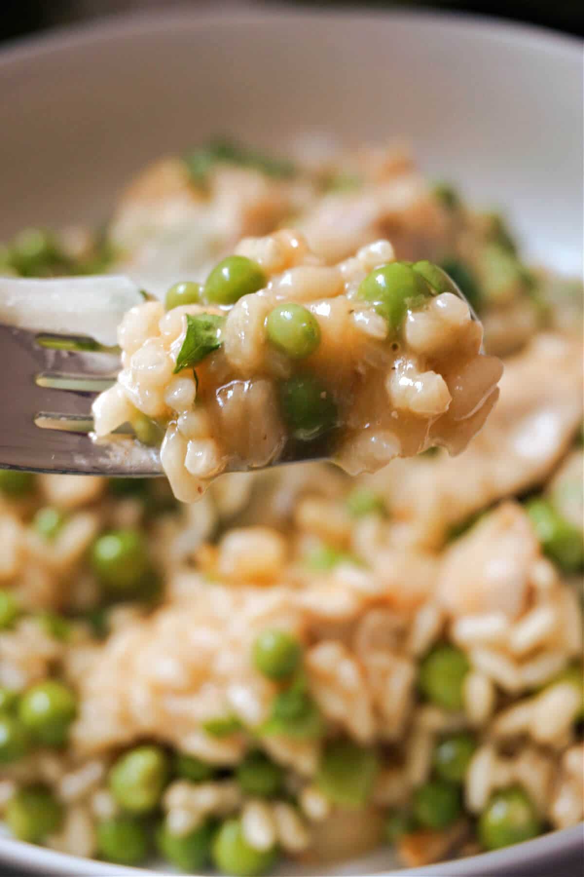 A fork full of risotto.