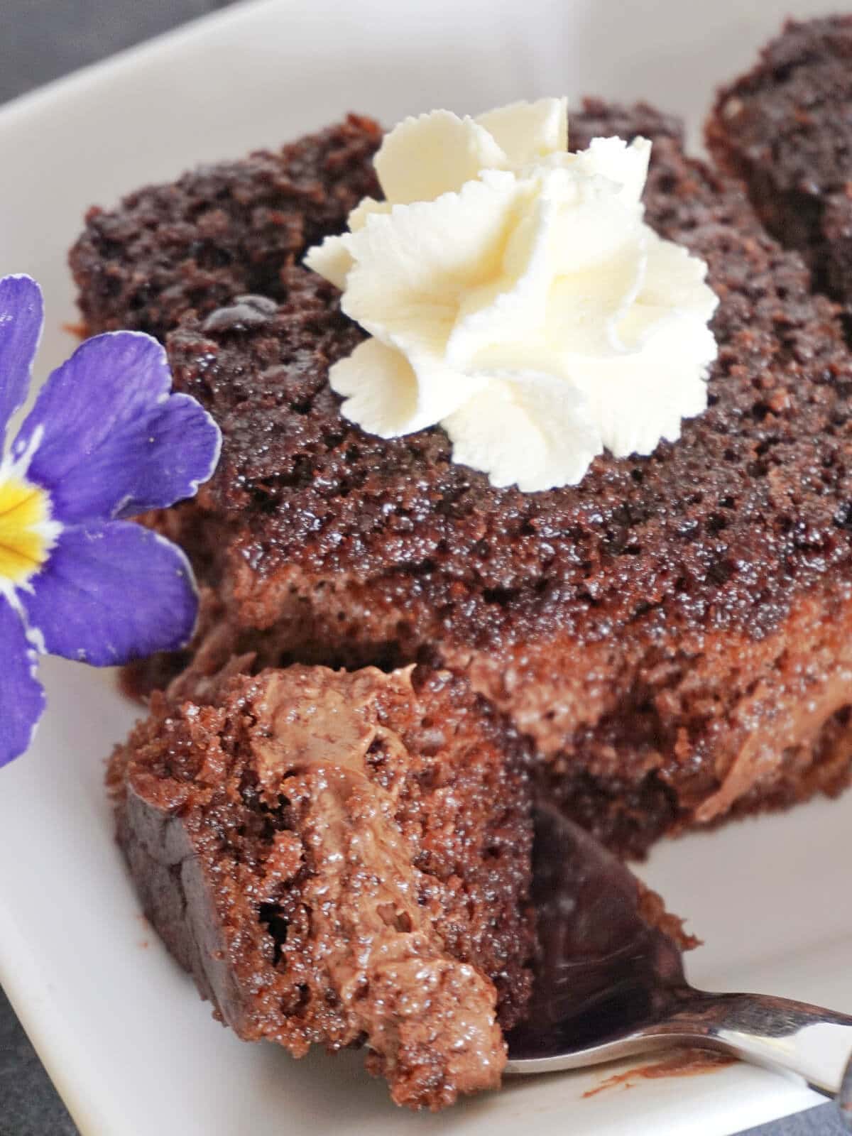 Close-up shot of a slice of chocolate and nutella cake