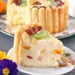 A slice of cake on a white plate with more cake in the background