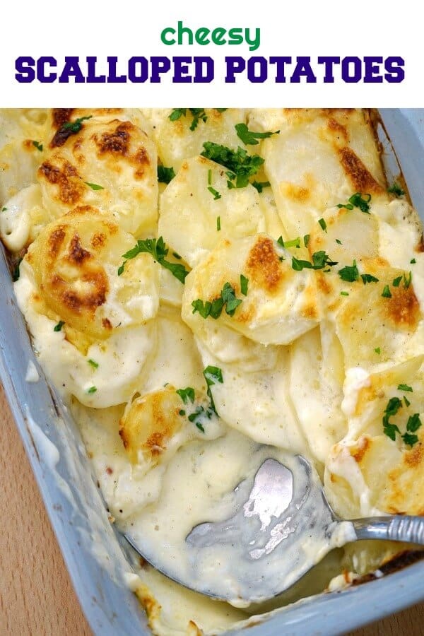 These Cheesy Scalloped Potatoes make a delicious side dish for any roast. Very easy to make, rich and flavourful, they are a great alternative to the traditional roasted potatoes for your Thanksgiving or Christmas dinner.