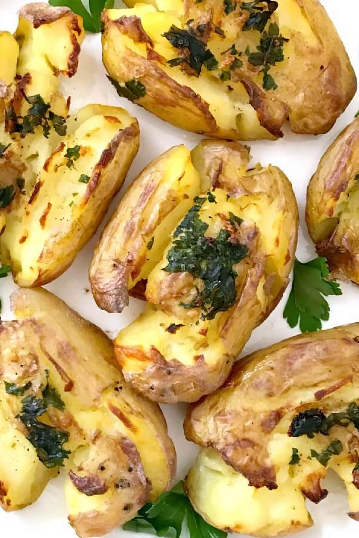 Close-up shoot of crushed baby potatoes on a white plate.