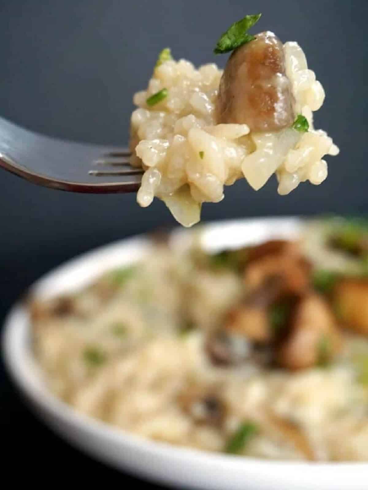 A forkful of risotto with mushroom