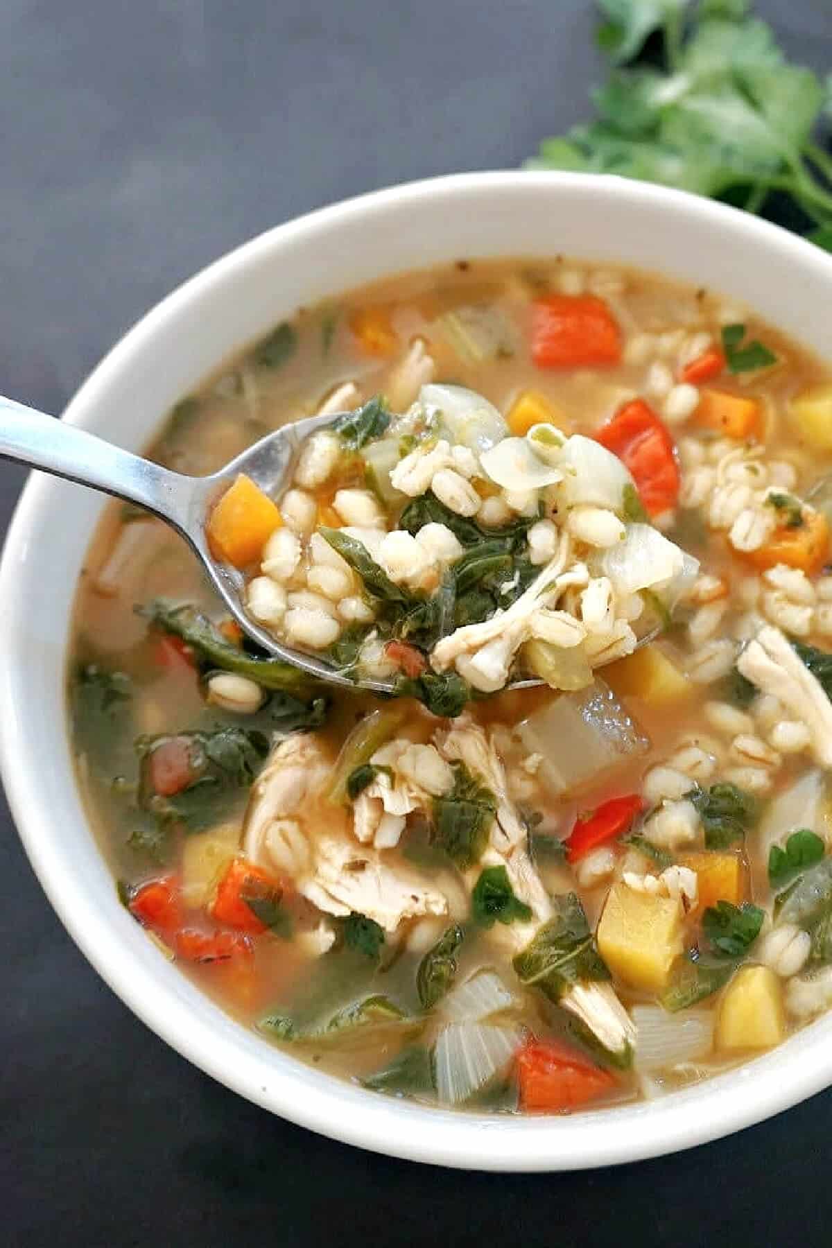 A white bowl with chicken and barley soup.