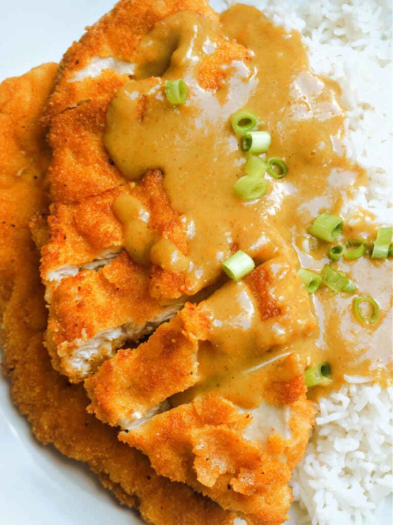Close-up shoot of a chicken cutlet in a curry sauce over a bed of rice
