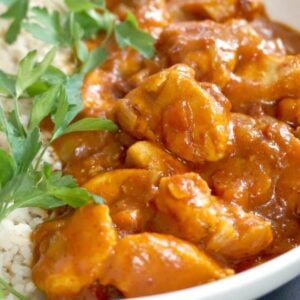 Close-up shoot of a white bowl with chicken curry