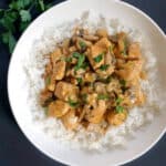 Overhead shoot of a white bowl with chicken stroganoff over a bed of rice