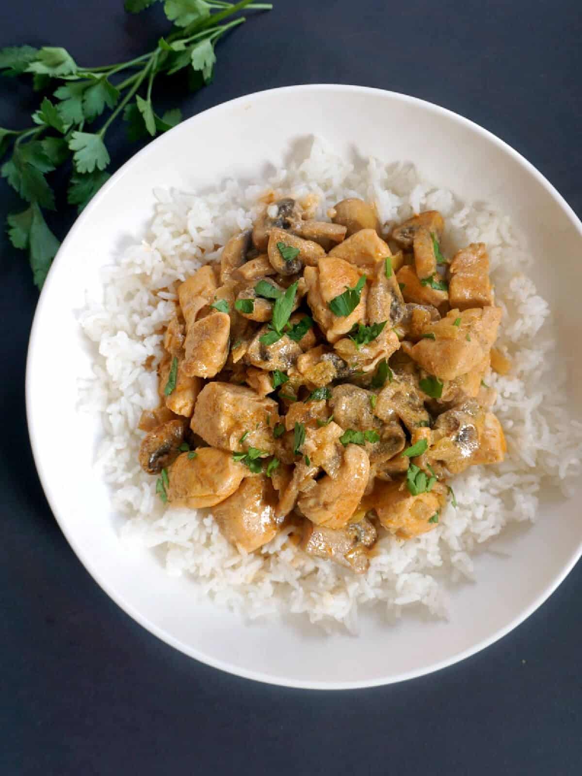 A white plate with chicken stroganoff over a bed of rice.