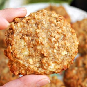 A hand showing an oatmeal cookie