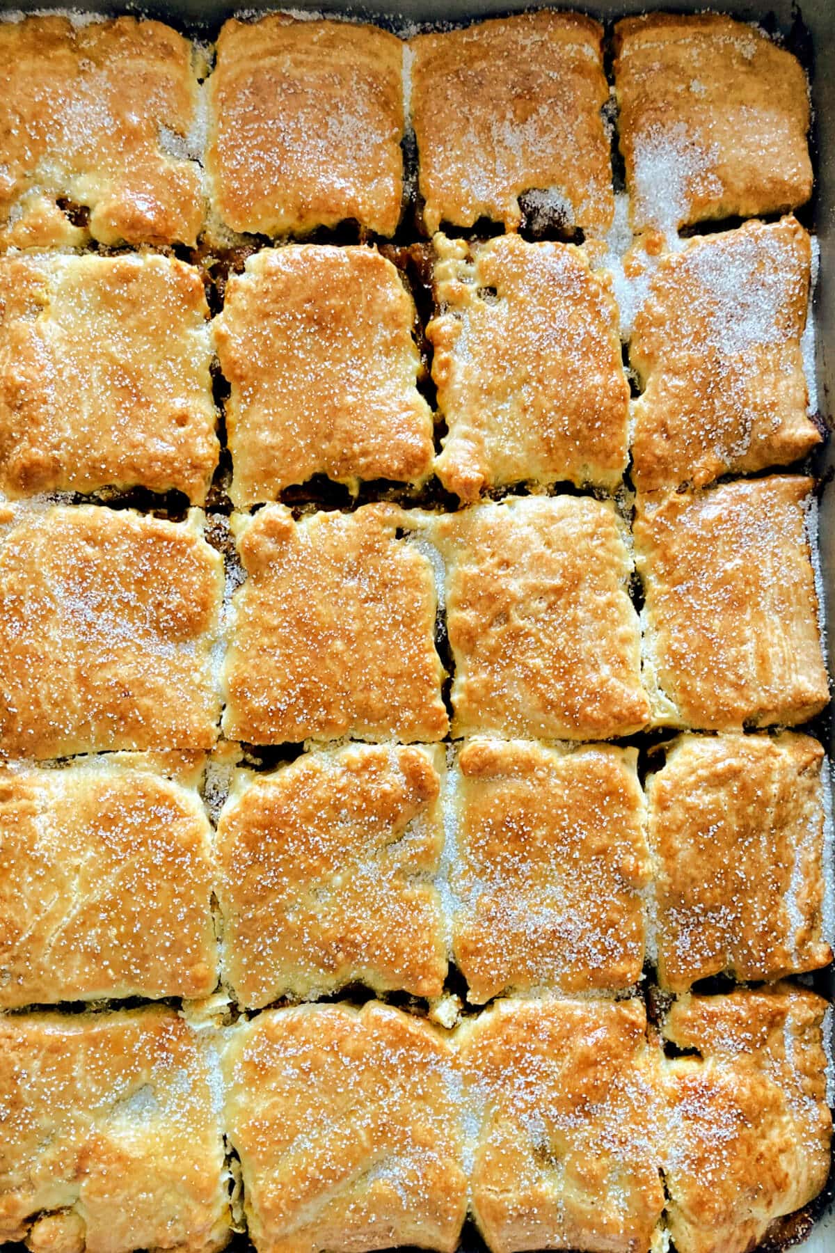 Overhead shoot of a baking tray with pumpkin squares.