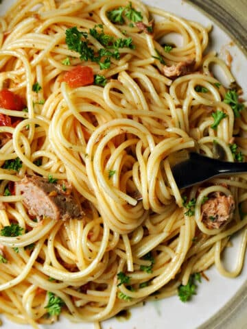 A plate with spaghetti and tuna and a fork.