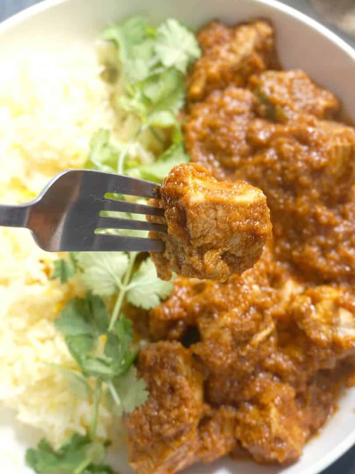 Close-up shoot with chicken curry with rice.