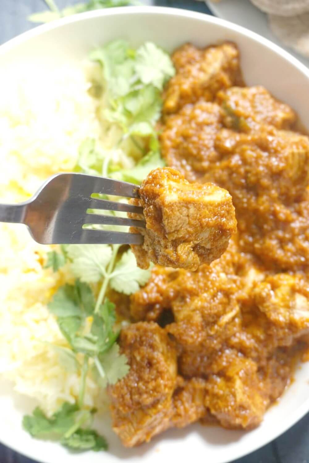 Close-up shot of chicken curry with rice