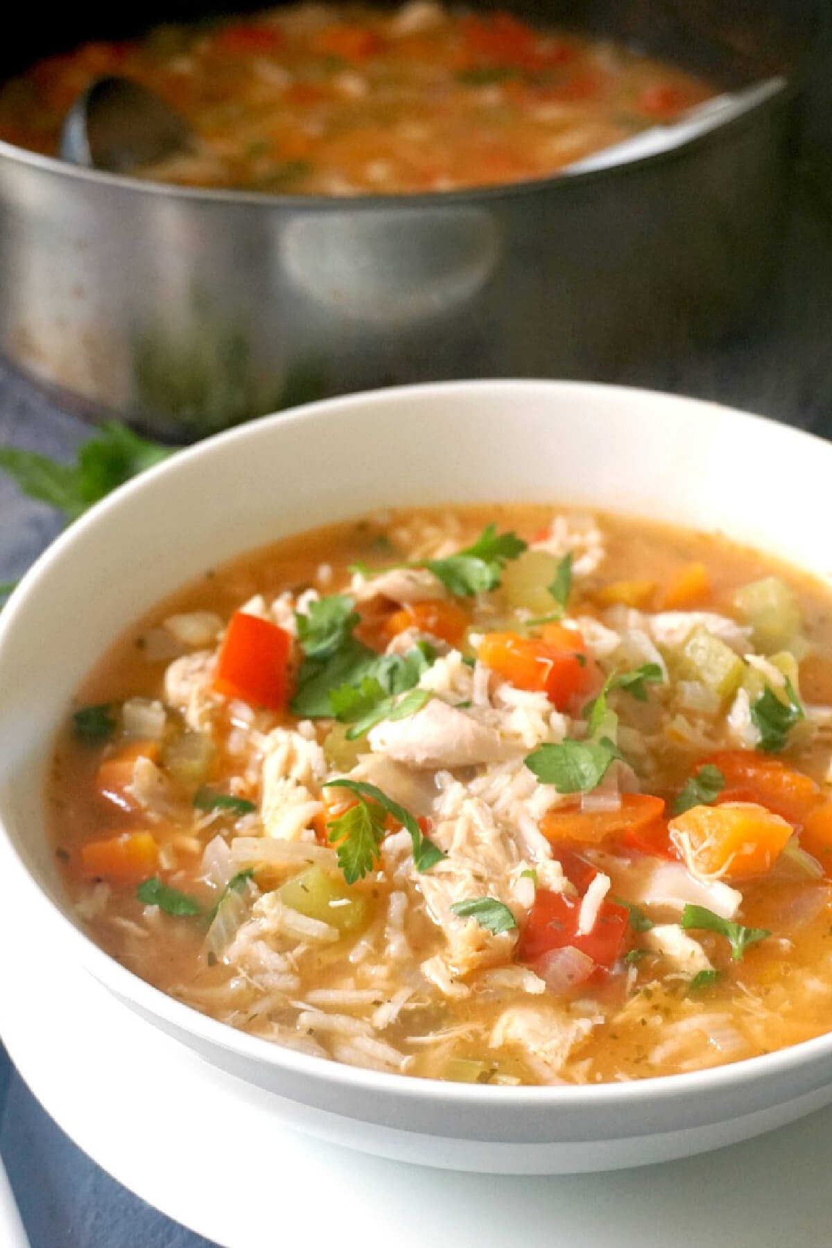 A white bowl of turkey rice soup.