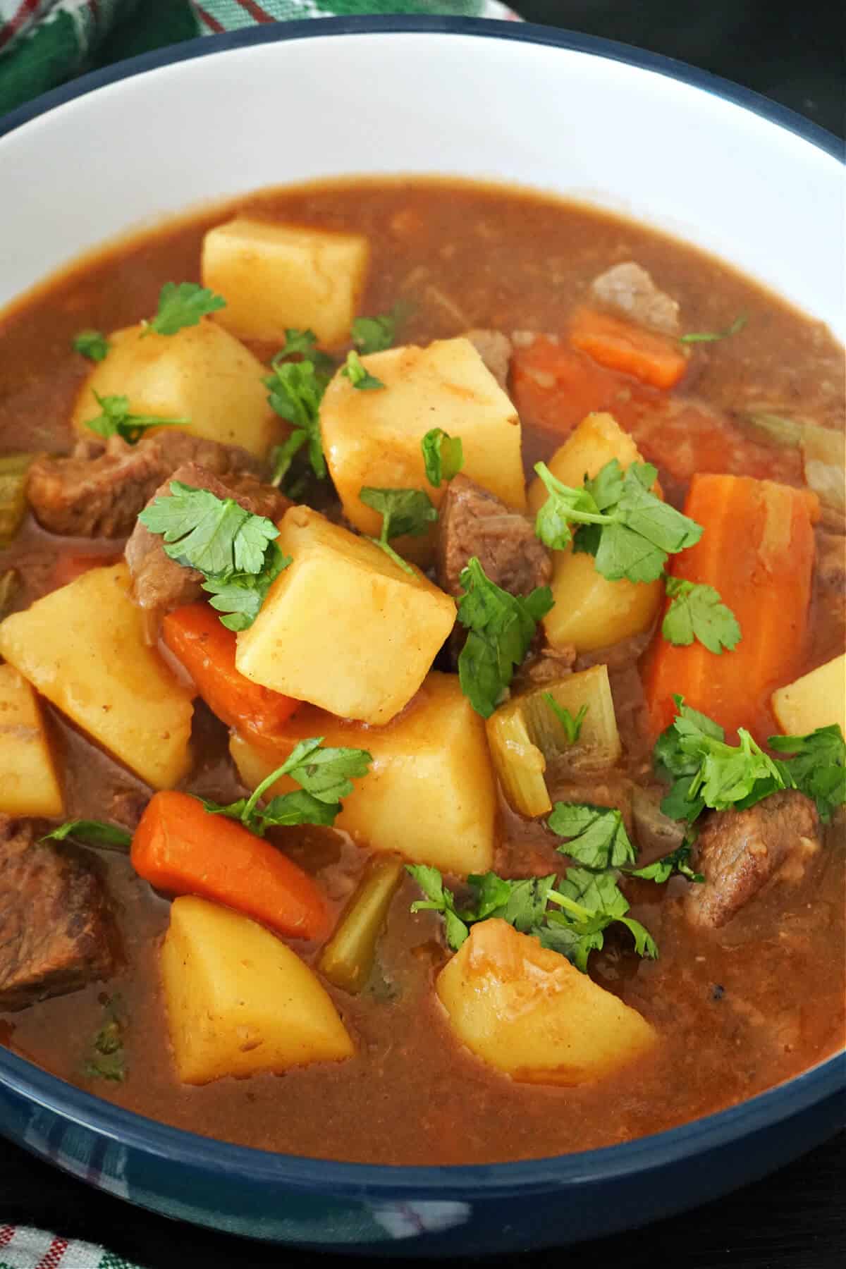 A bowl of beef stew with veggies.
