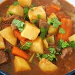 A bowl of beef stew with stout and veggies.