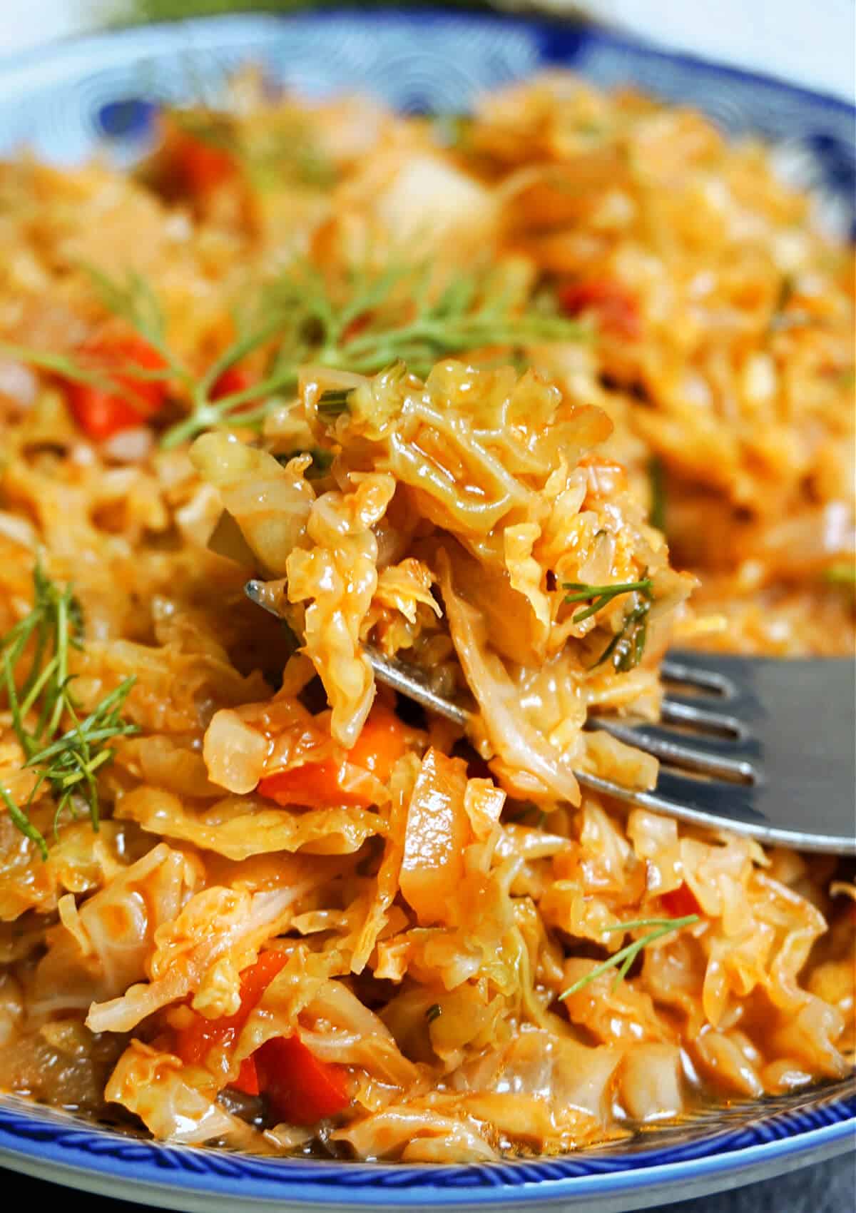 Close-up shoot of stewed cabbage.