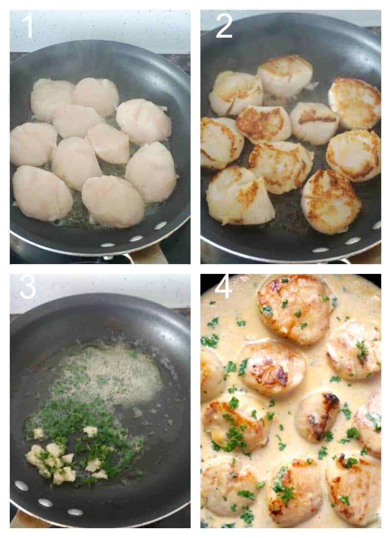 Collage of 4 photos to show how to make creamy garlic scallops