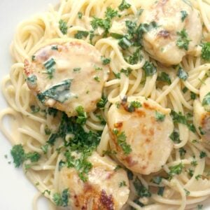 Close-up shoot of a white plate with creamy spaghetti topped with scallops and chopped parsley