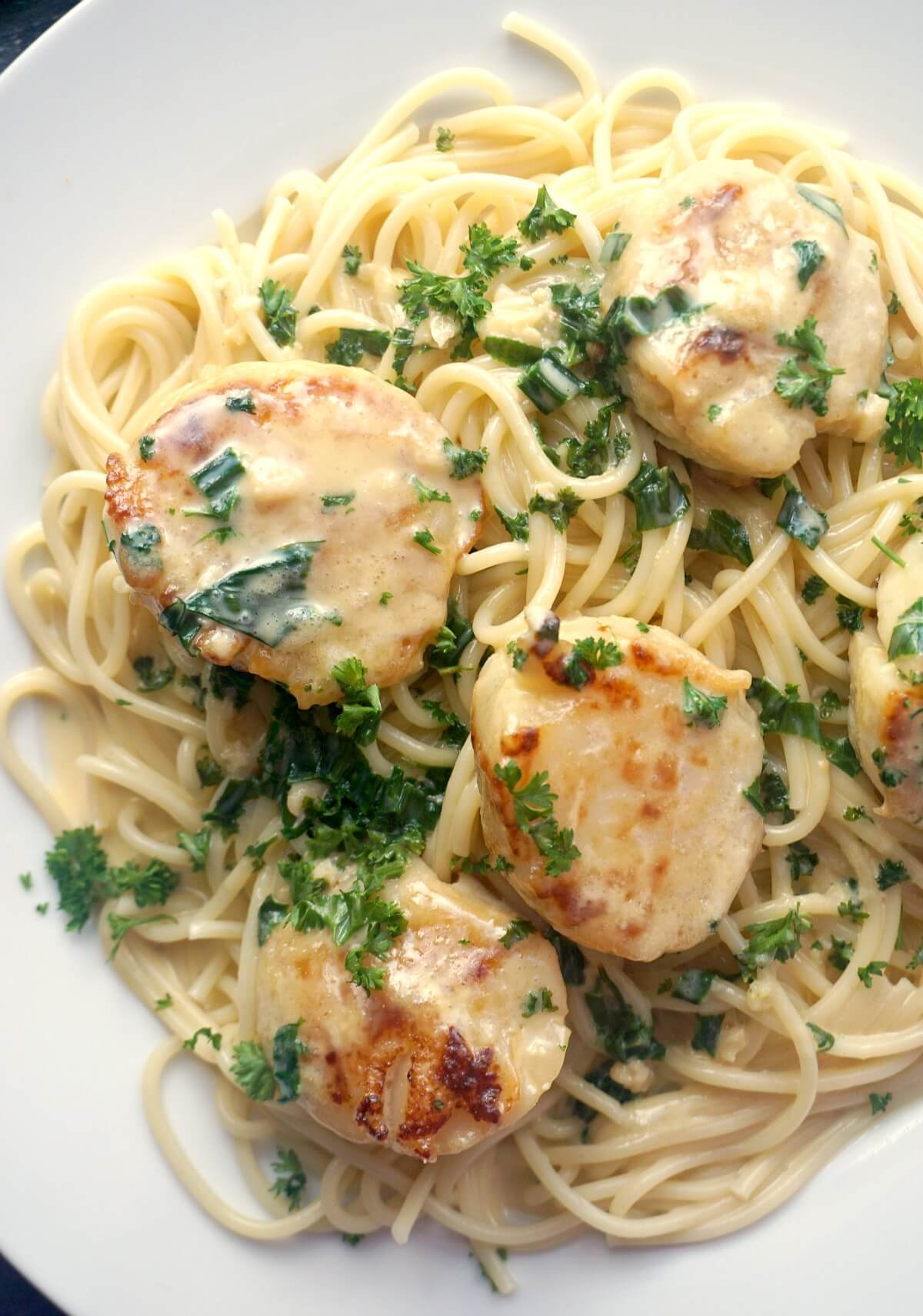 Close-up shoot of a plate with creamy spaghetti topped with scallops and chopped parsley.