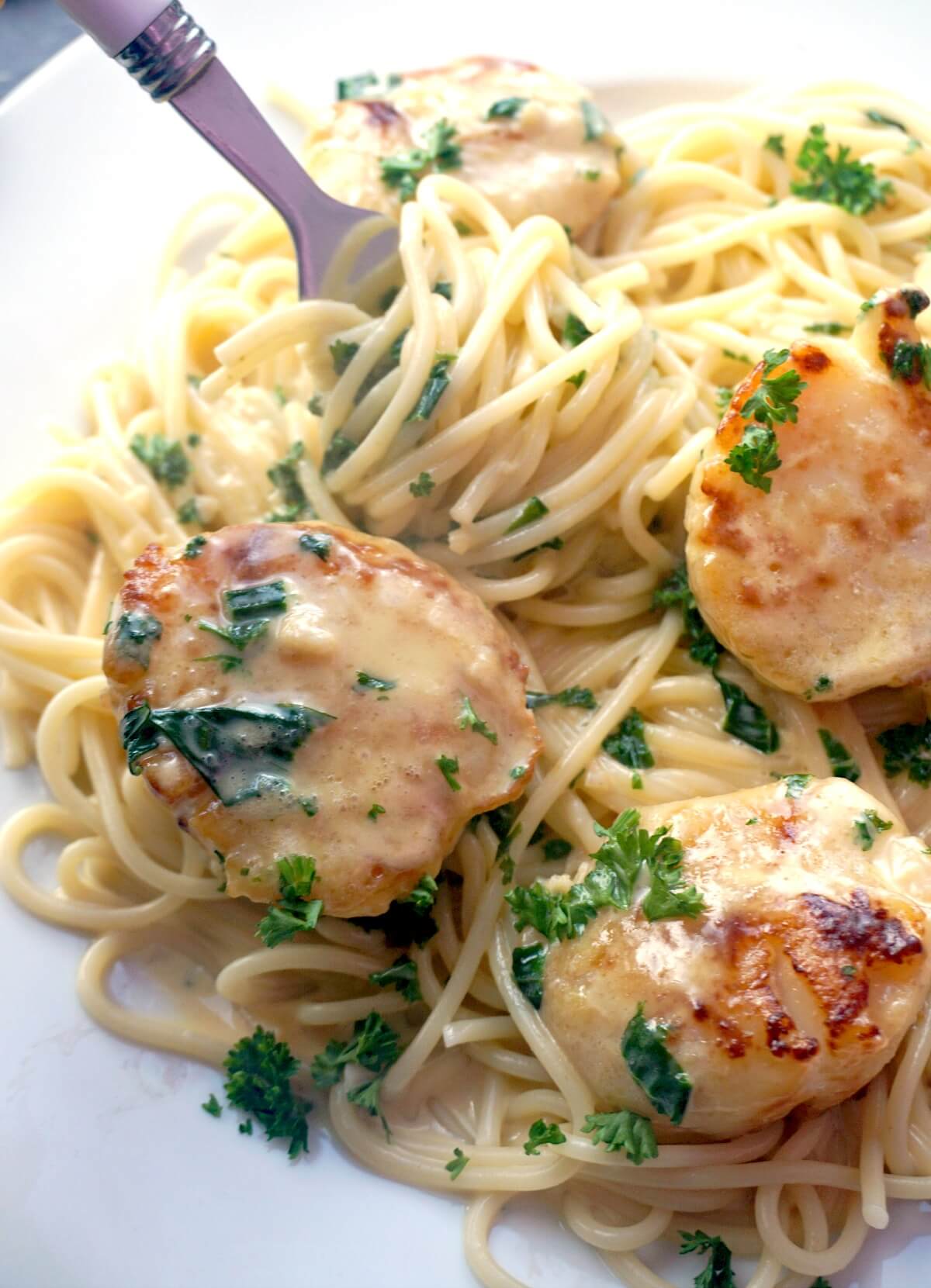 Creamy spaghetti with 3 scallops on a white plate.