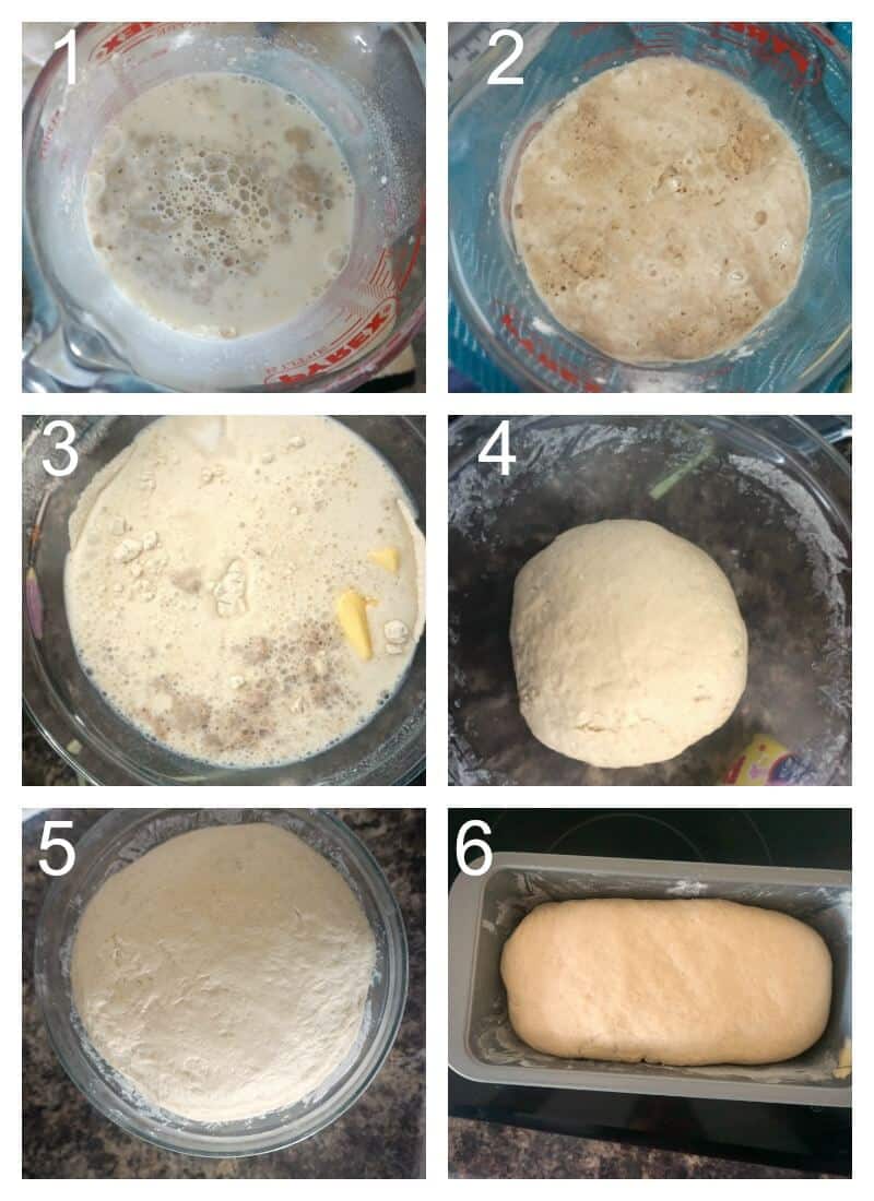 Collage of 6 photos to show how to make white sandwich bread.