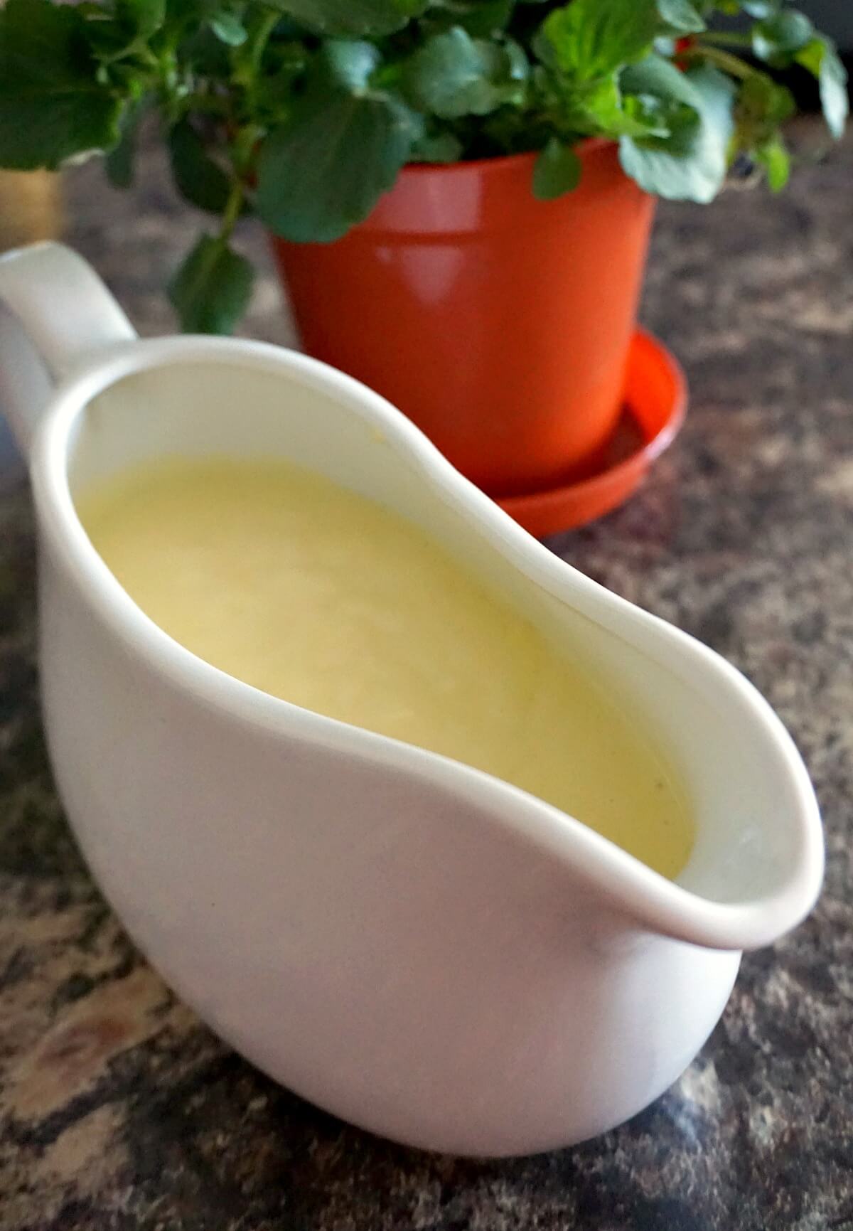 A bowl with homemade custard and a plant behind it.