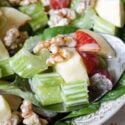 Close-up shoot of waldorf salad