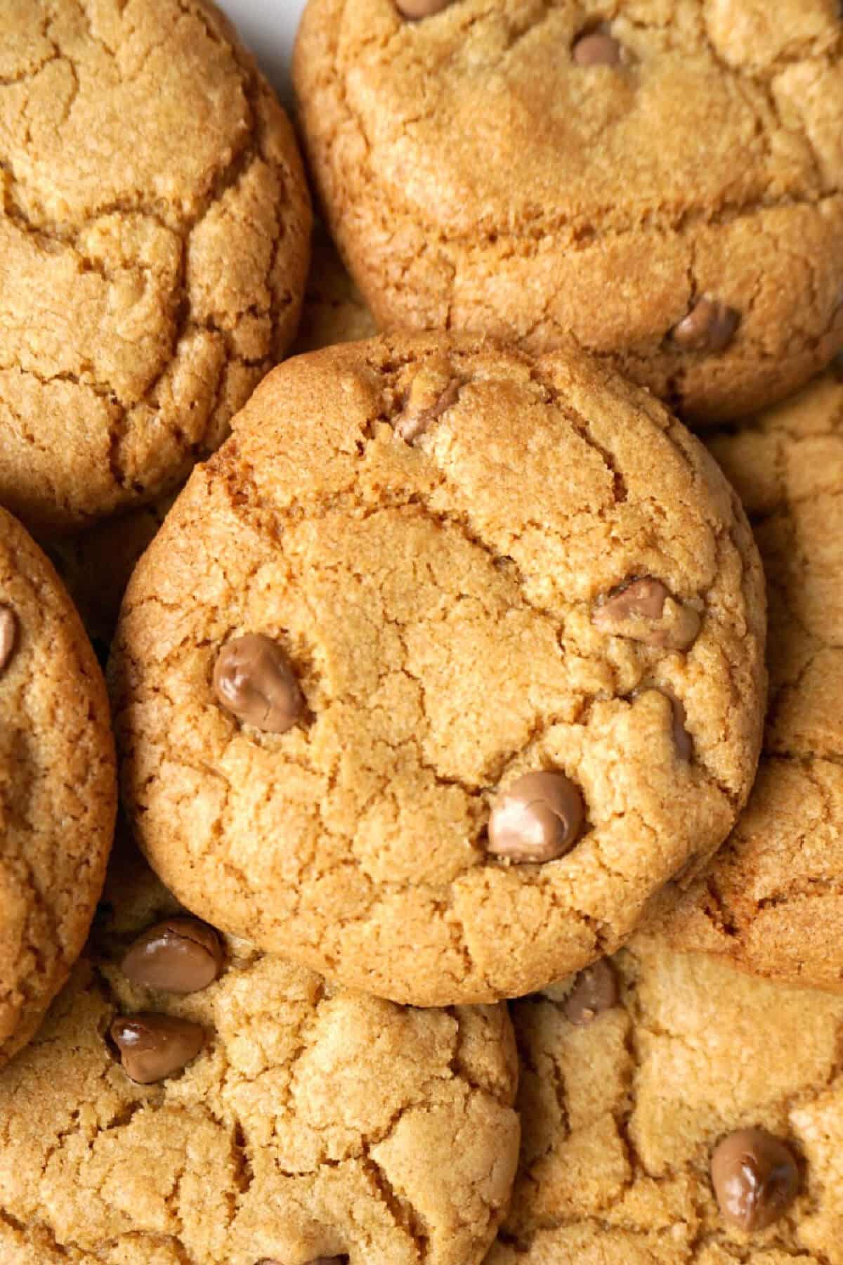 Close-up shoot of chocolate chip cookies.