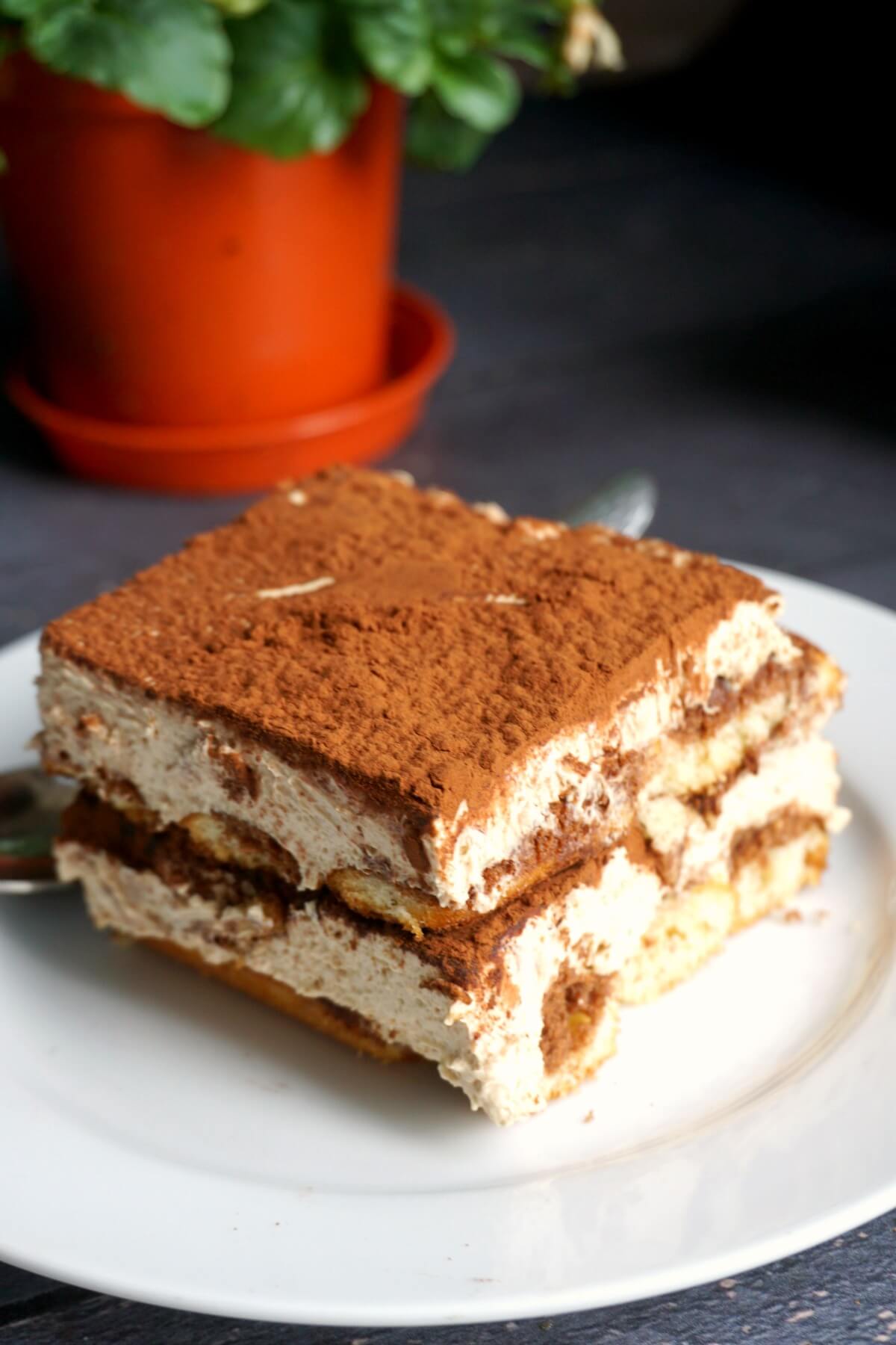 A slice of dalgona tiramisu on a white plate with a plant behind it