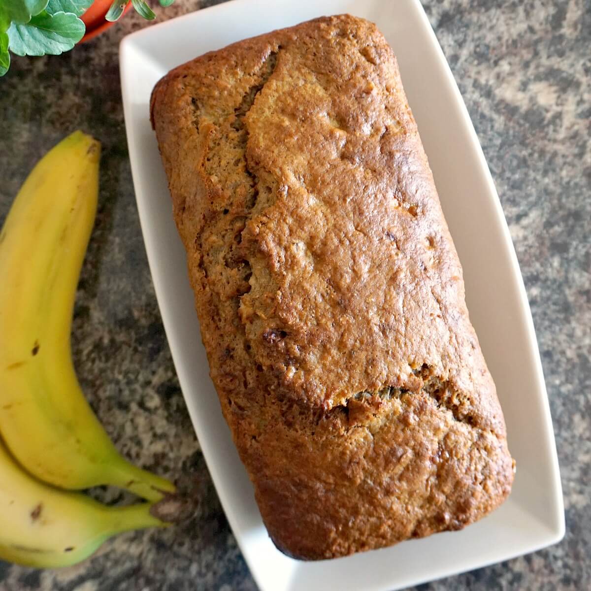 Healthy Banana Bread (No Sugar) - My Gorgeous Recipes
