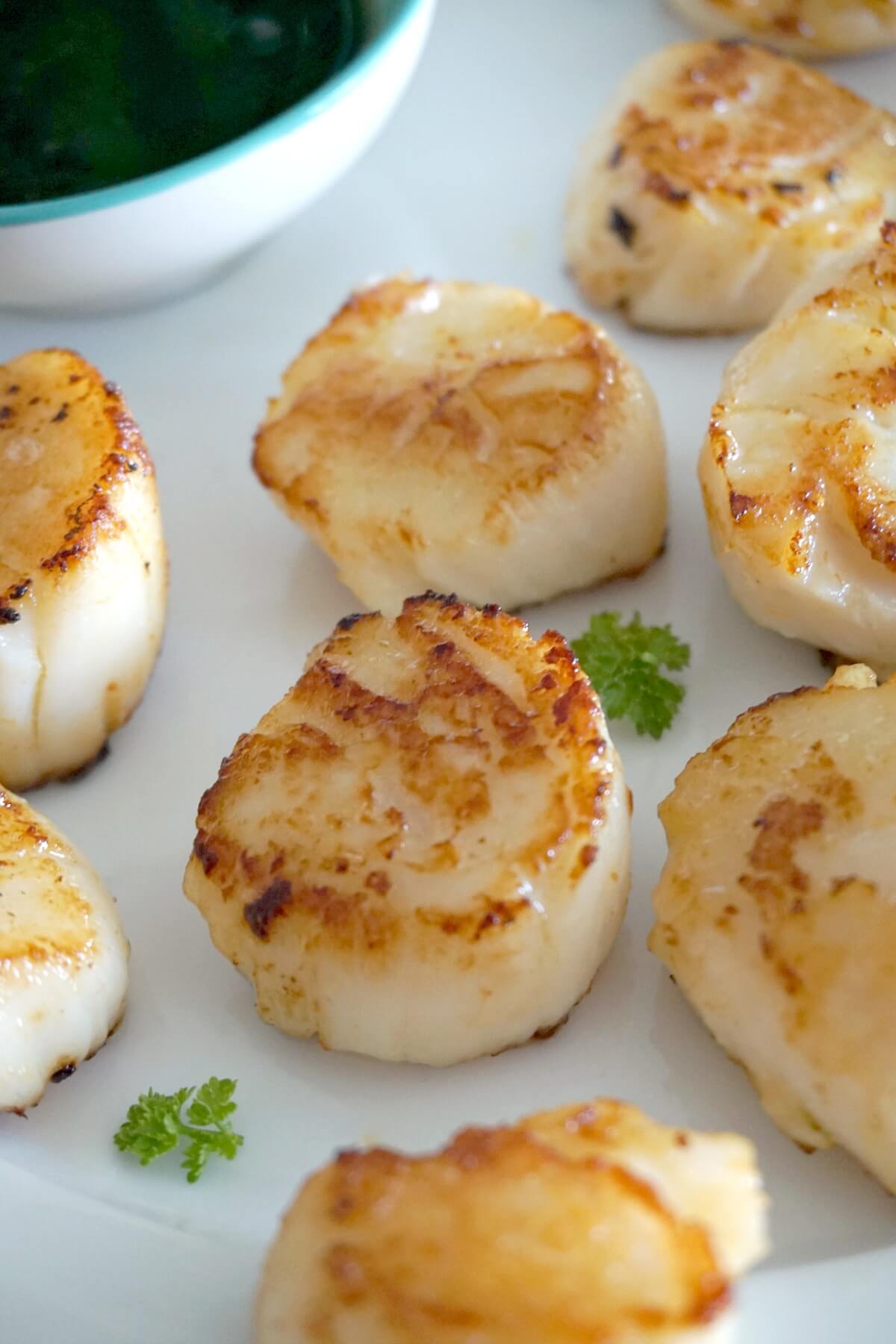Scallops on a white plate.