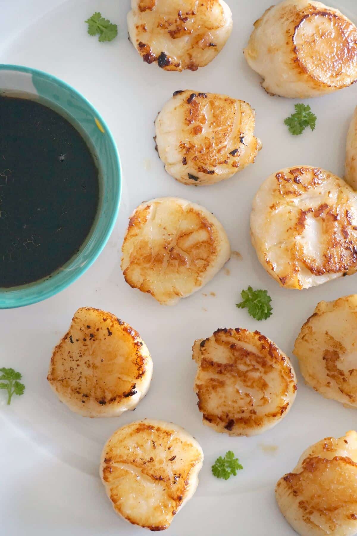 Overhead shoot of scallops and dipping sauce on a white plate.