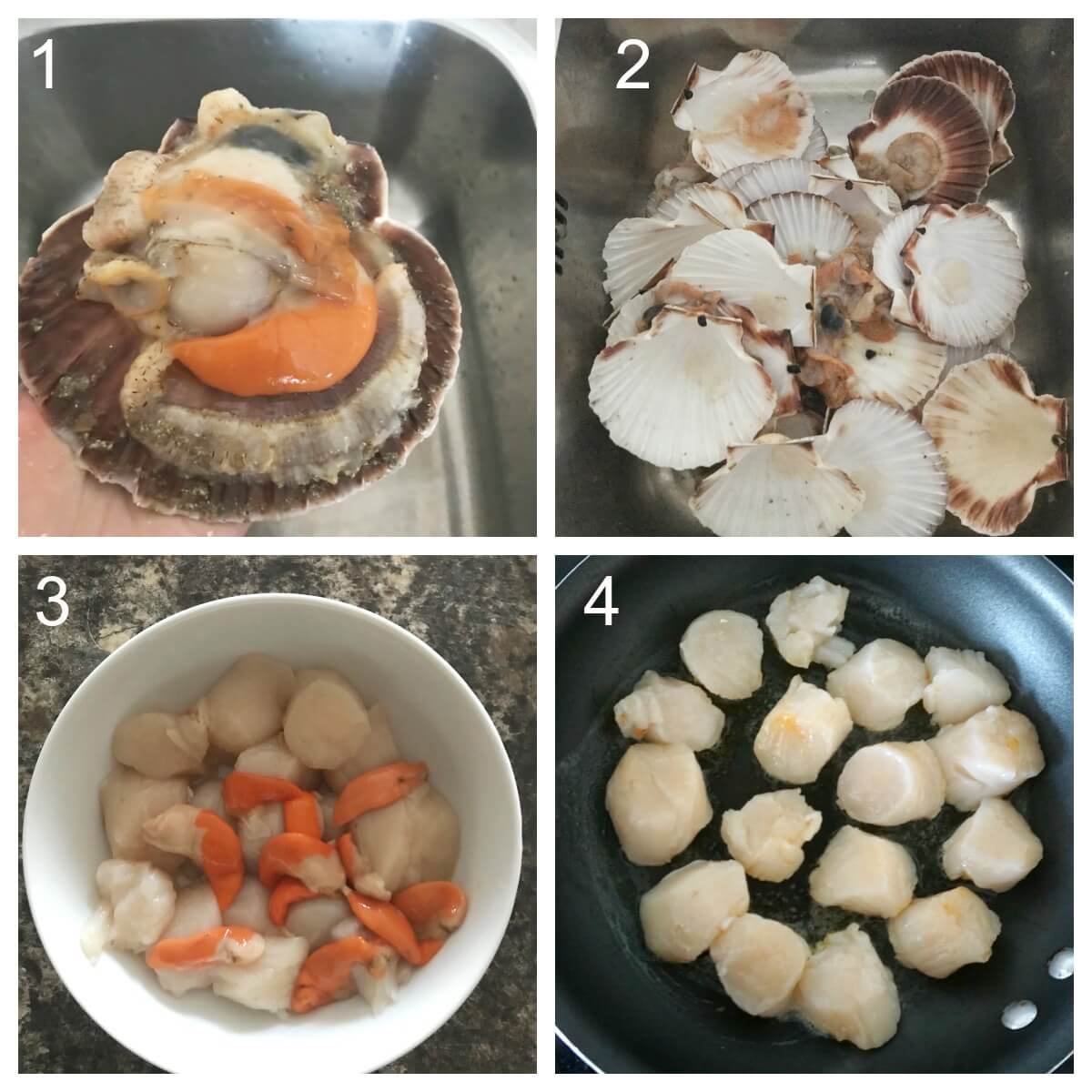 Collage of 4 photos to show how to sear scallops.