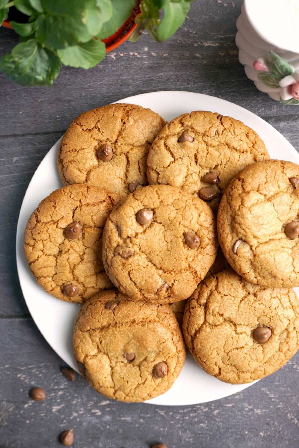 A white plate with chocolate chip cookies.