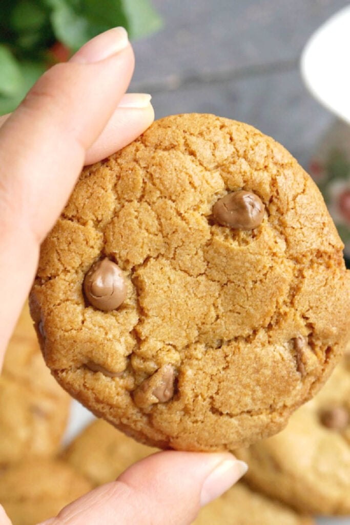 A chocolate chip cookie being held by hand