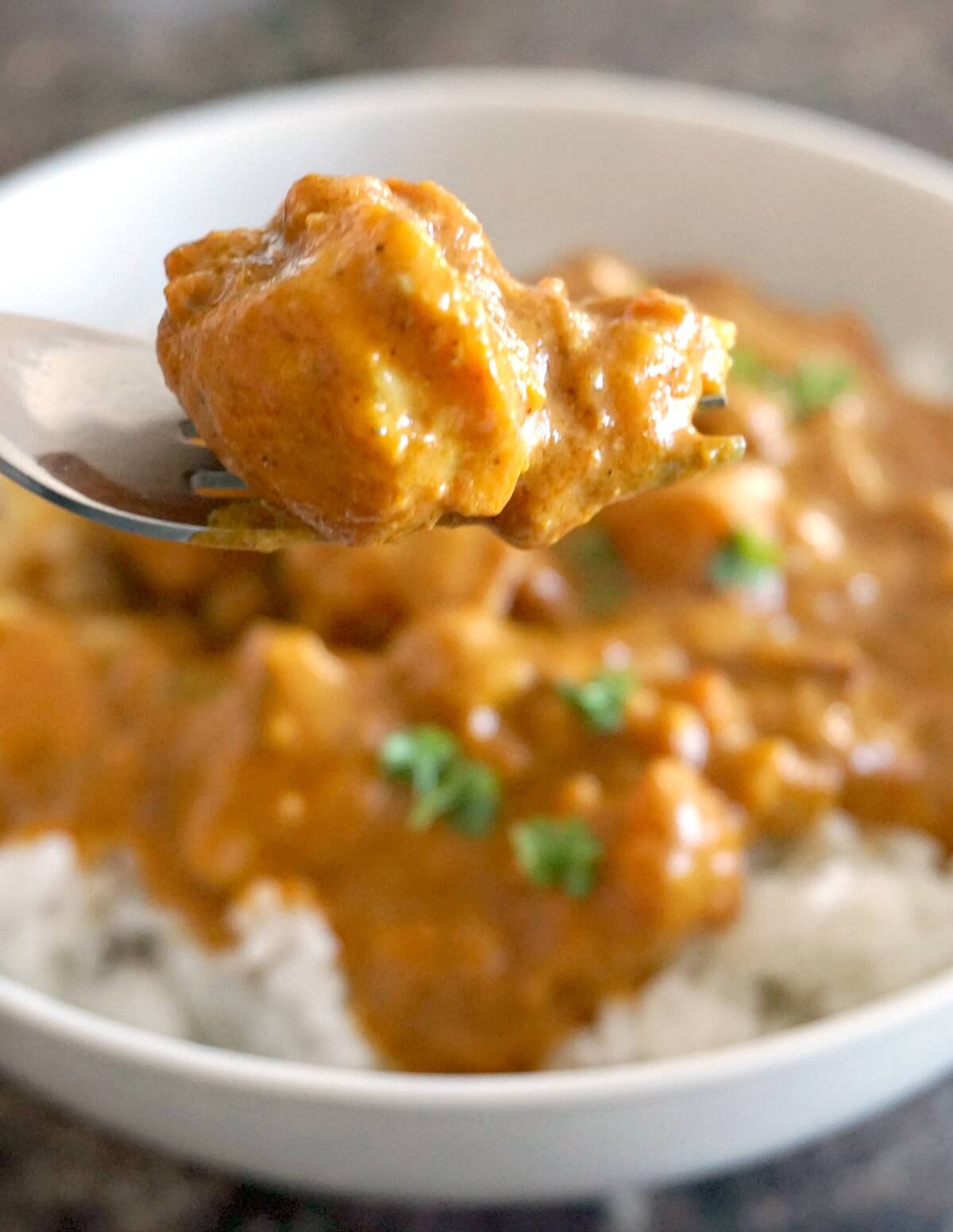 A forkful of fish curry and a plate of curry and rice in the background