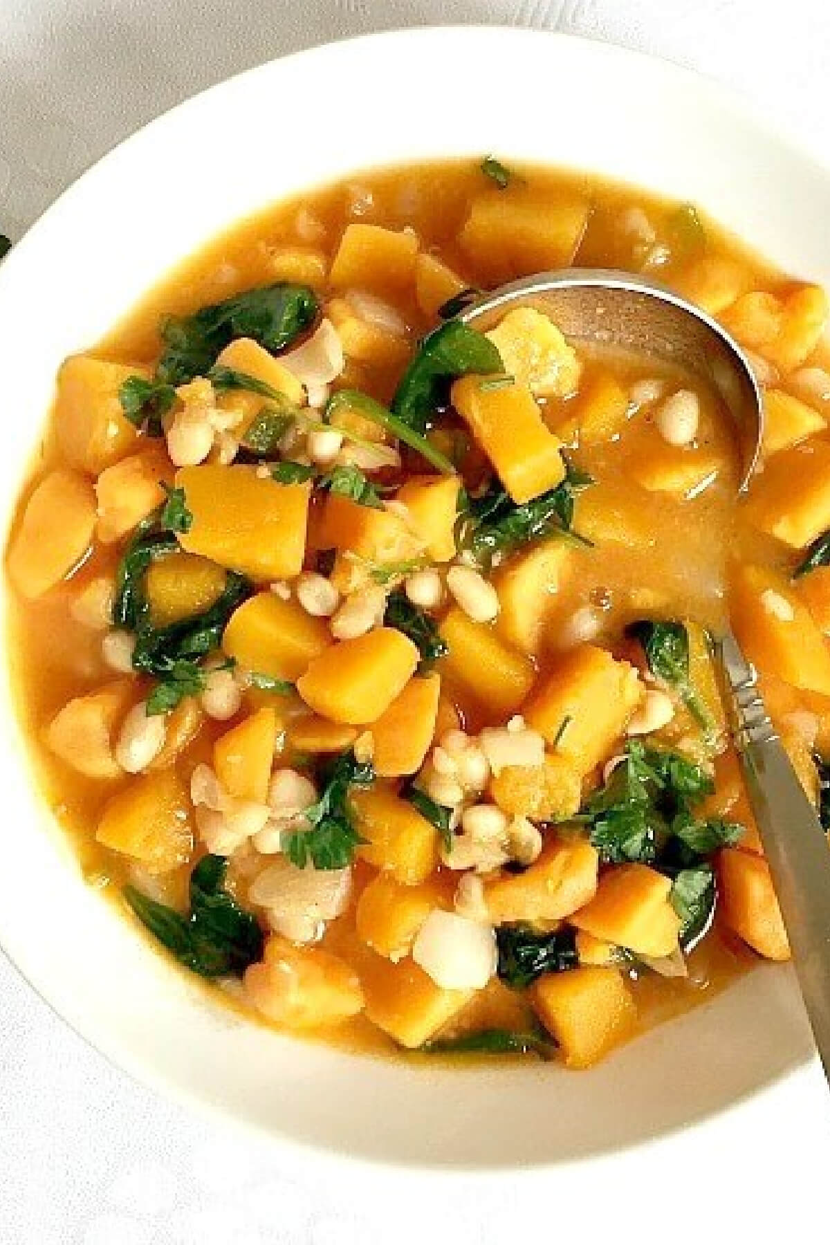 A white bowl with butternut squash stew.