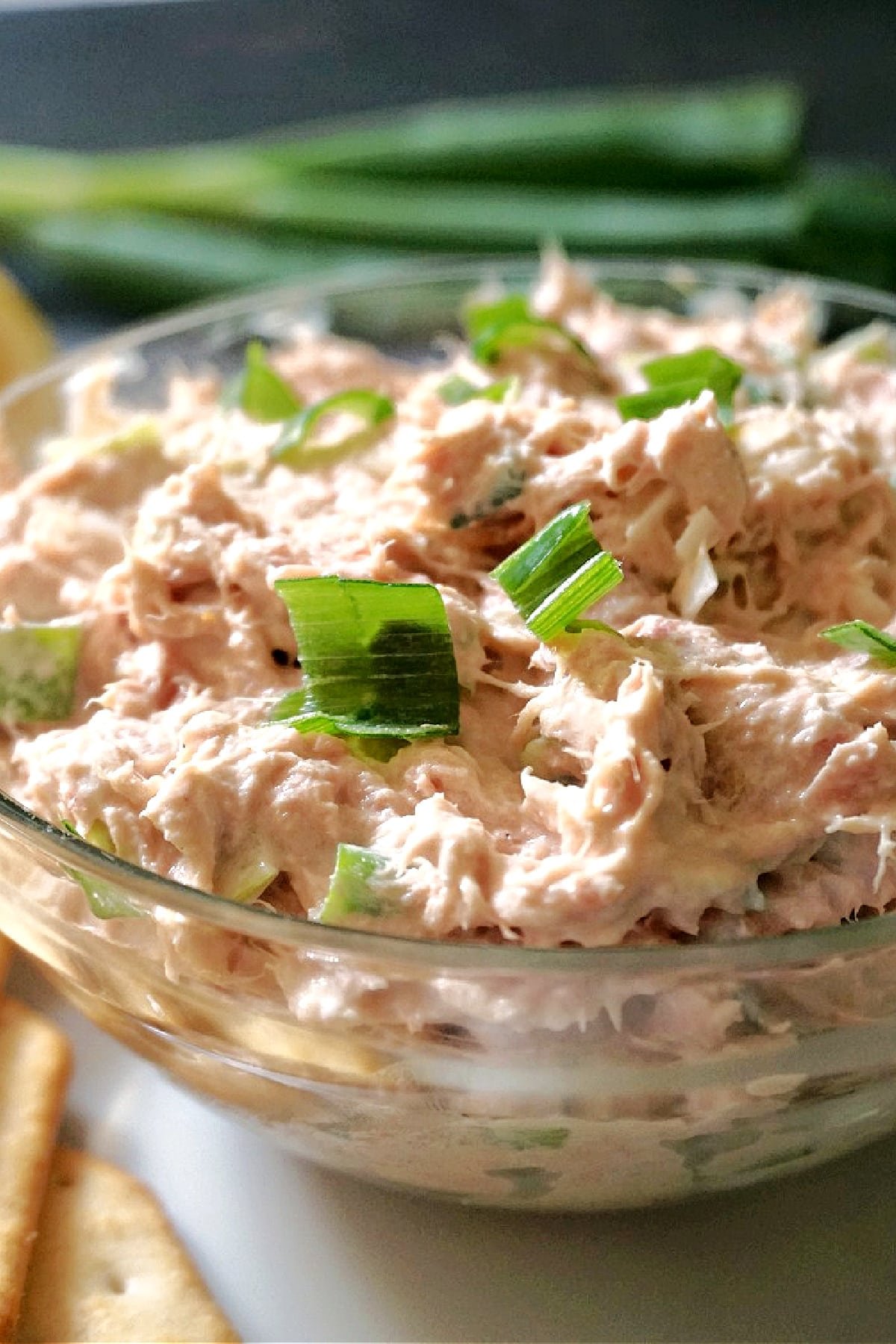 A bowl with tuna dip garnished with chopped green onions.