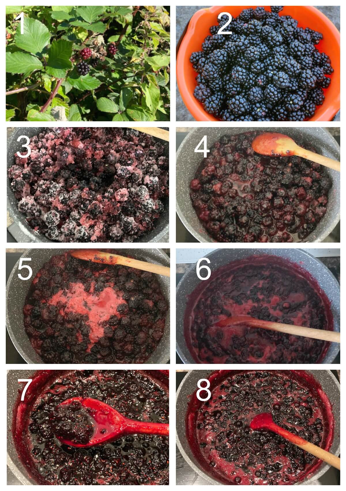 Collage of 8 photos to show how to make blackberry jam.
