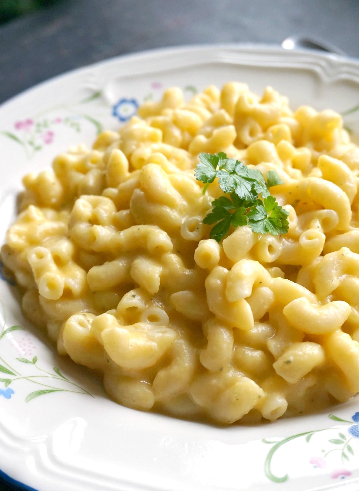 A white plate with butternut squash mac and cheese.