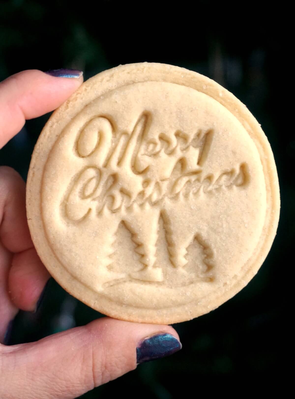 A hand holding a Christmas stamped cookie.