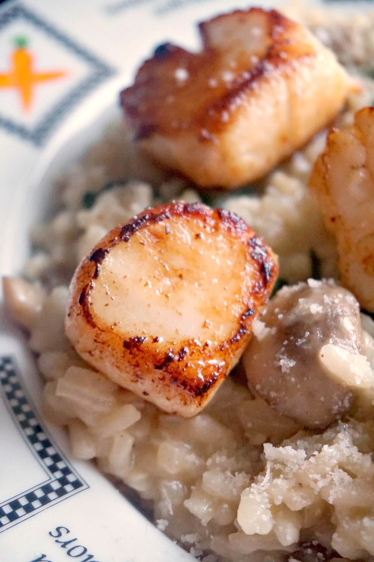 Close-up shoot of seared scallops on a bed of risotto.