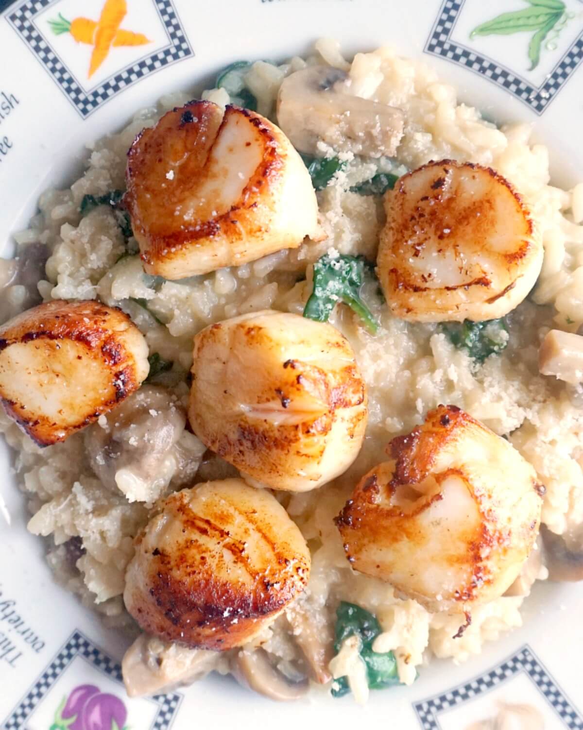 Overhead shoot of a plate with mushroom risotto topped with seared scallops