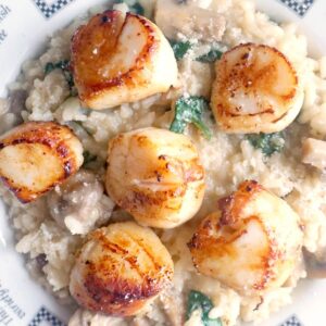Overhead shoot of a plate with risotto and seared scallops
