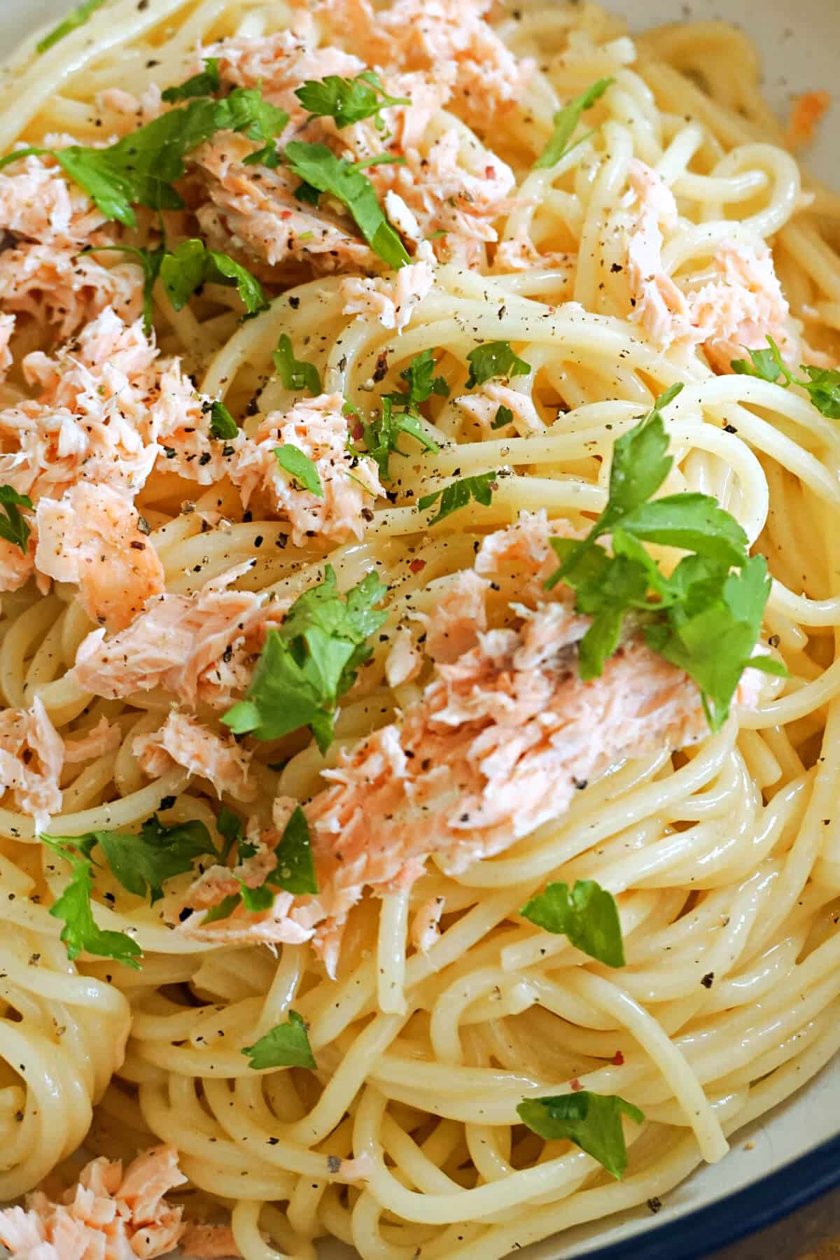 Close-up shoot of spaghetti carbonara with flaked salmon.