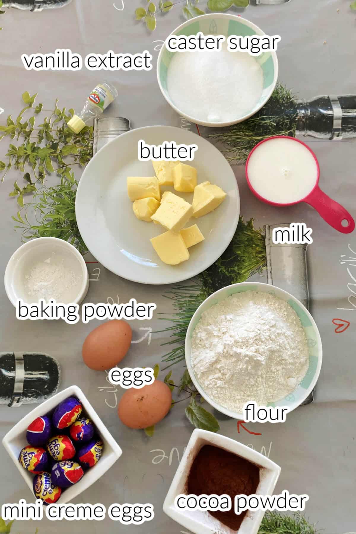 Ingredients needed to make chocolate sponge for cupcakes.