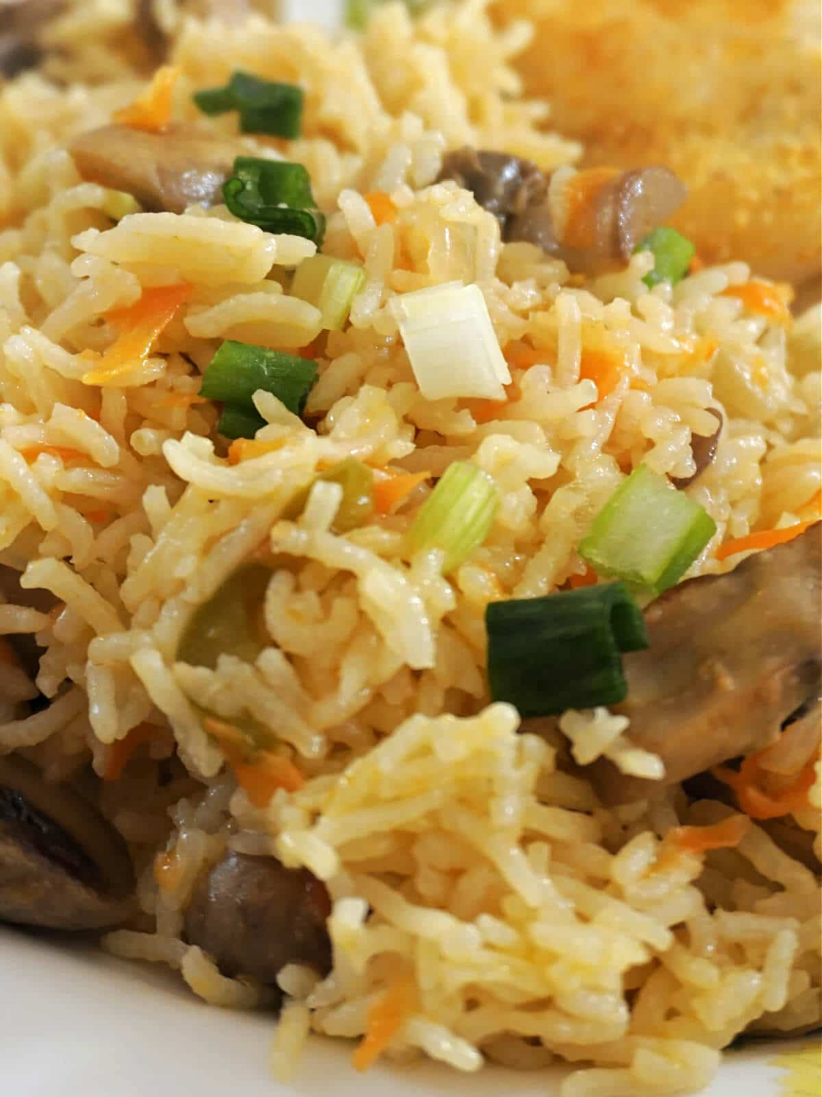 Close-up shot of vegetable rice.