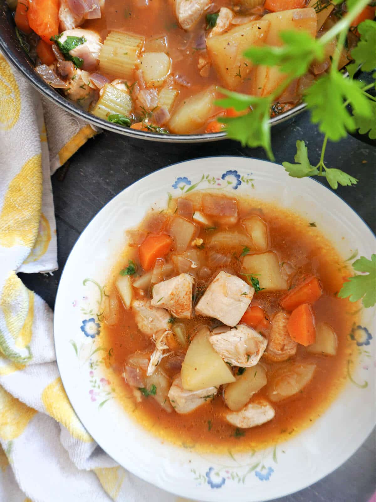 Overhead shot of a white plate with chicken stew and a pot with more stew.