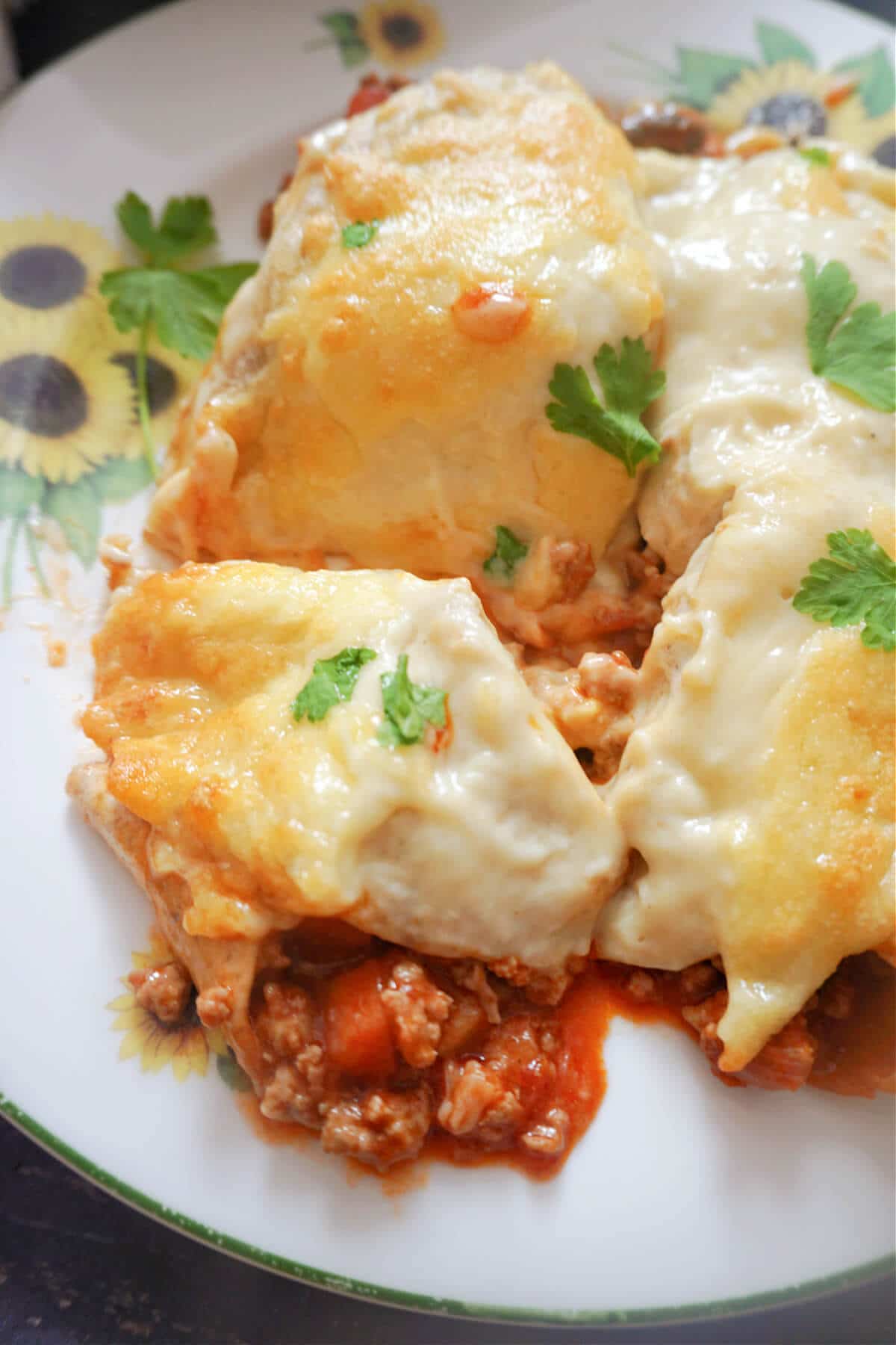 Close-up shot of enchiladas on a white plate.